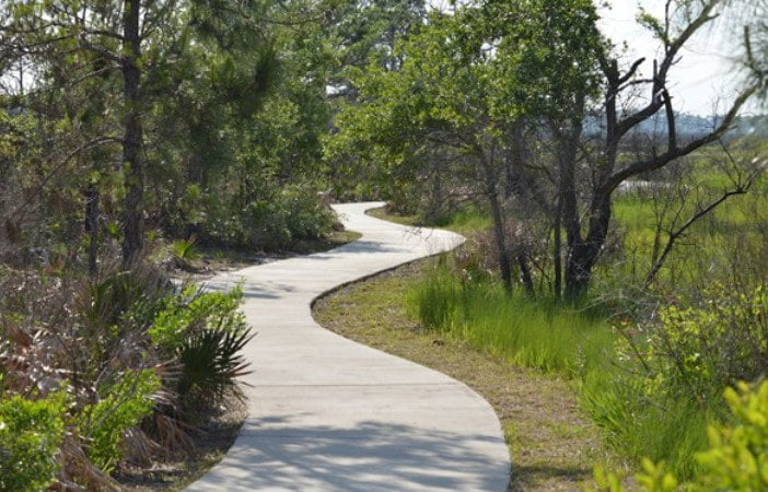 Bald Point State Park walk path Bald Point State Park walk path