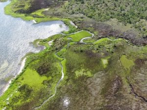 Apalachicola River