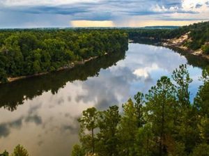 Apalachicola River Floodplain