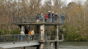 Run Wakulla Springs