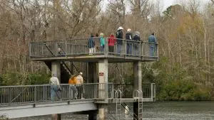 Run Wakulla Springs.jpg Run Wakulla Springs