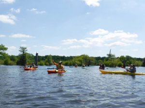 paddling.jpg paddling