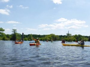 paddling