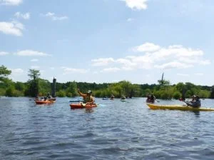 paddling.jpg paddling