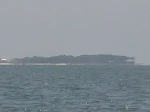 Alligator Point