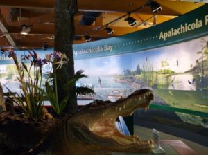 Alligator-diaorama-0dQIic.tmp_