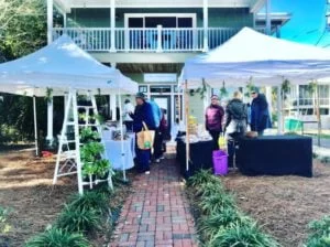 Apalachicola-Farmers-Market-XTfwYN.tmp_ Apalachicola-Farmers-Market-XTfwYN.tmp_