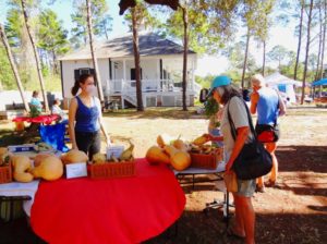 Carrabelle-Farmers-Market-1-WylcBA.tmp_ Carrabelle-Farmers-Market-1-WylcBA.tmp_