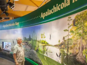Apalachicola-National-Estuarine-Research-Reserve-EiWopP.tmp_ Apalachicola-National-Estuarine-Research-Reserve-EiWopP.tmp_