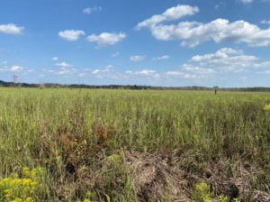 Online-Sci-Cafe-Restoration-of-MK-Ranch-Uq7Mkx.tmp_ Online-Sci-Cafe-Restoration-of-MK-Ranch-Uq7Mkx.tmp_