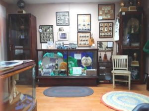 Carrabelle-High-School-Exhibit-Reception-in-Carrabelle-FL-lXUzOL.tmp_ Carrabelle-High-School-Exhibit-Reception-in-Carrabelle-FL-lXUzOL.tmp_