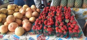 Apalachicola-Farmers-Market-lUWr3n.tmp_ Apalachicola-Farmers-Market-lUWr3n.tmp_