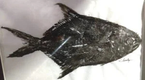 FISH-RUBBING-BLACK-3-scaled-e1671112849145-l60EtC.tmp_ FISH-RUBBING-BLACK-3-scaled-e1671112849145-l60EtC.tmp_