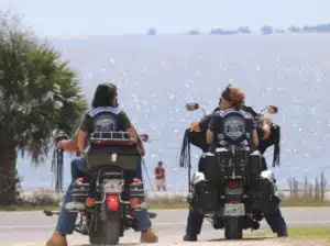 coastal-crusaders-LUzaYi.tmp_ coastal-crusaders-LUzaYi.tmp_