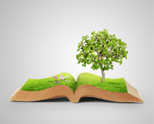book-grass-tree-gVXKkP.tmp_ book-grass-tree-gVXKkP.tmp_