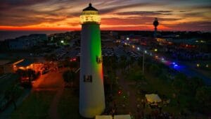 Lightingofthepalms-uim6WZ